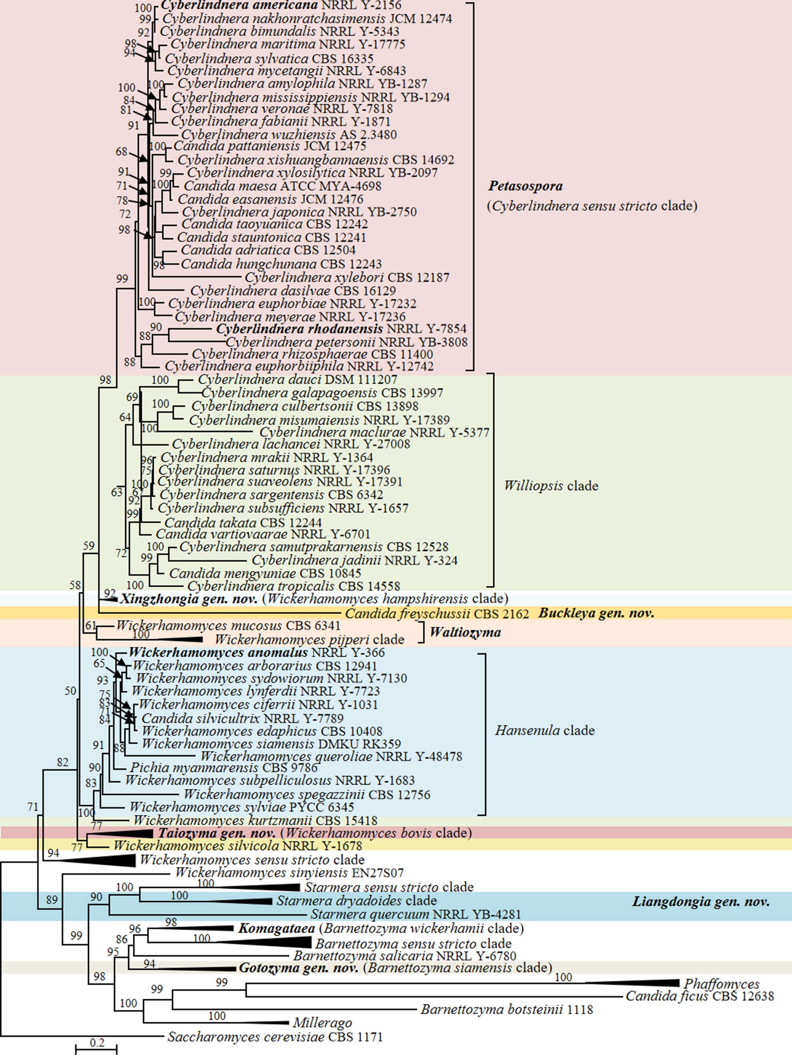 Figure 18